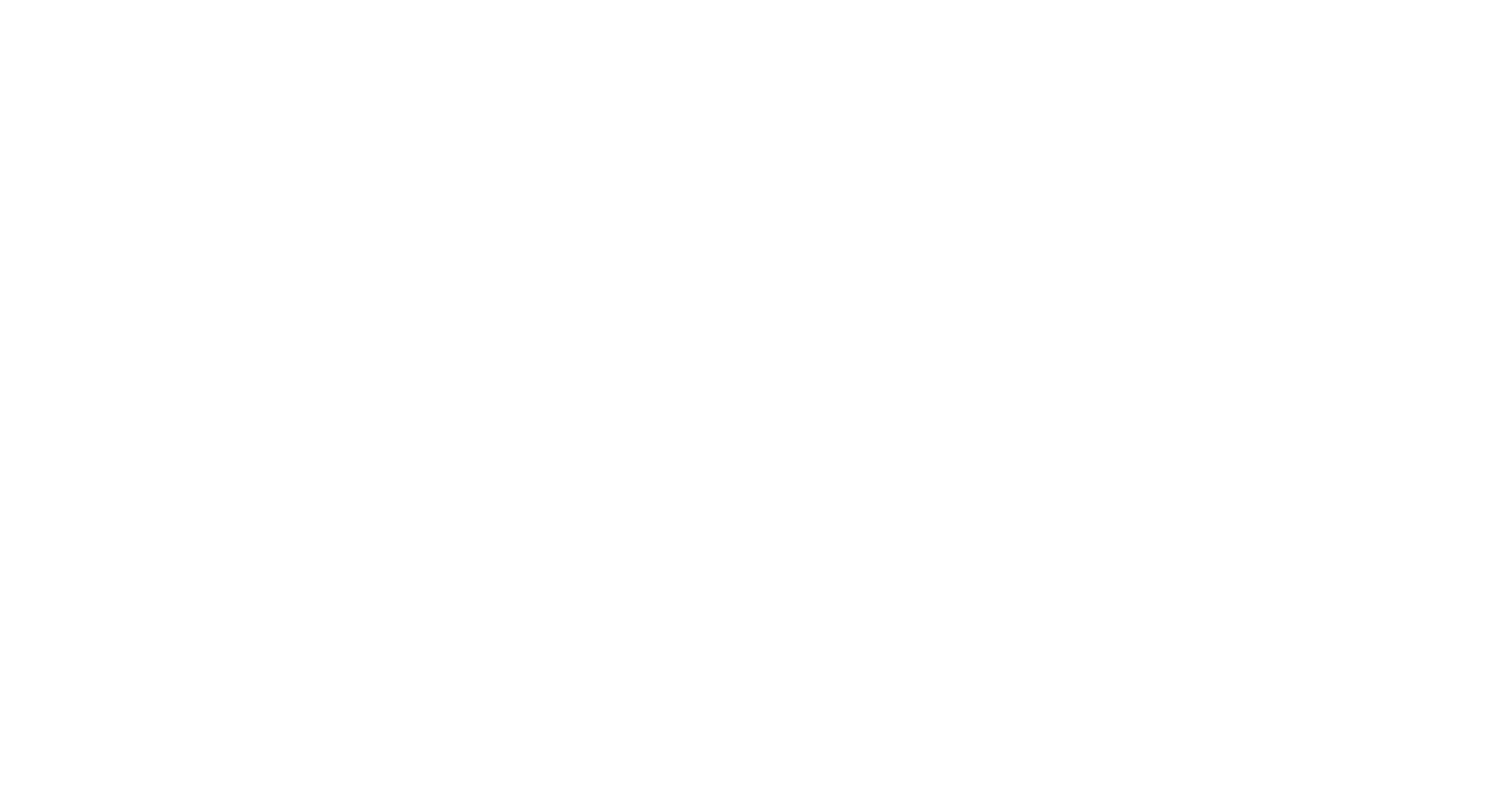 Story Zetu Logo